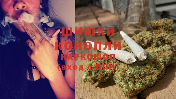 трава Аркадак