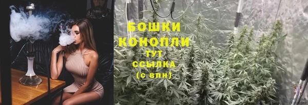 трава Аркадак